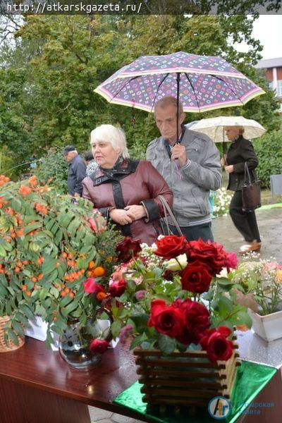 В День города выставку «Аткарские розы» посетило более тысячи аткарчан (ФОТО)