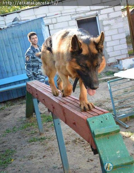 В День открытых дверей полиция принимала школьников (ФОТО)