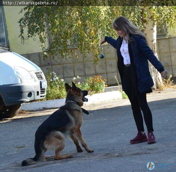 В День открытых дверей полиция принимала школьников (ФОТО)
