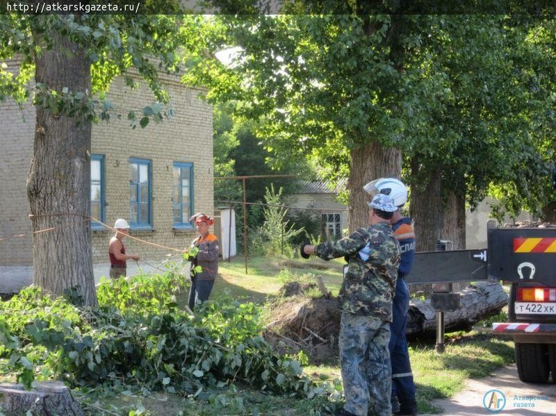В Озерном спиливают представляющие угрозу 60-летние тополя (ФОТО)