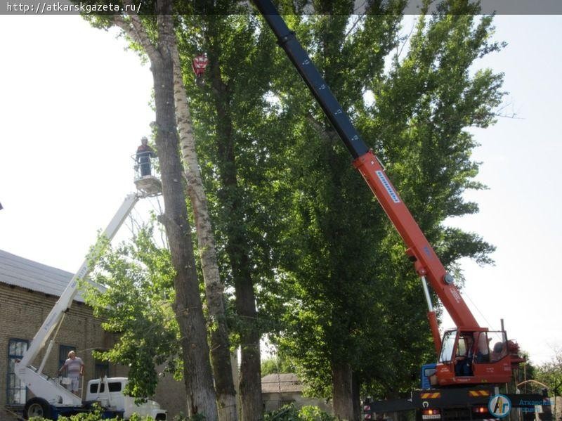 В Озерном спиливают представляющие угрозу 60-летние тополя (ФОТО)