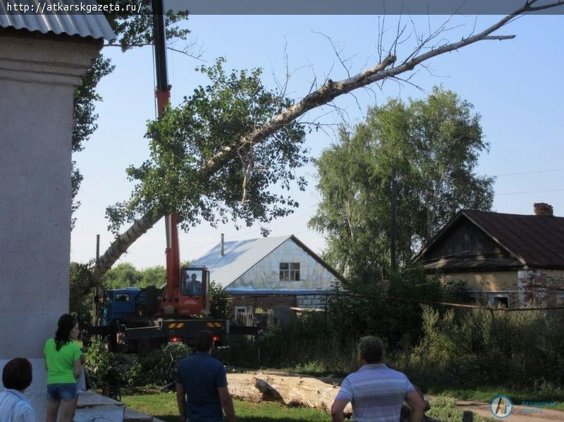 В Озерном спиливают представляющие угрозу 60-летние тополя (ФОТО)