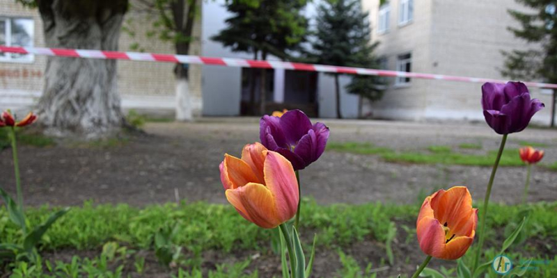 350 кустов роз высадили коллективы аткарских школ