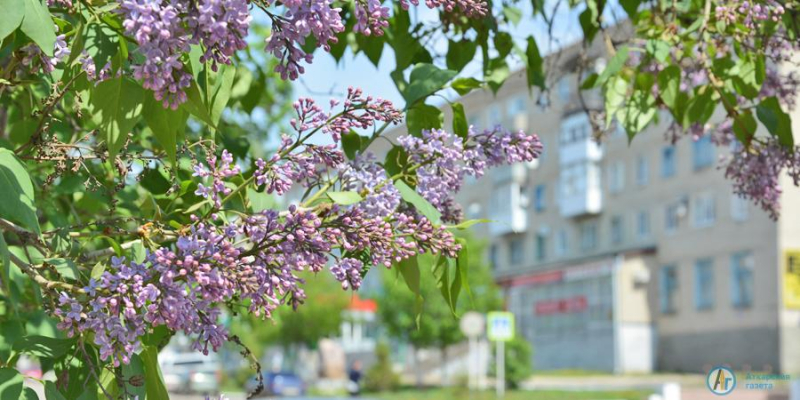 «АГ» делится с аткарчанами весенним настроением 