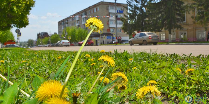 «АГ» делится с аткарчанами весенним настроением 