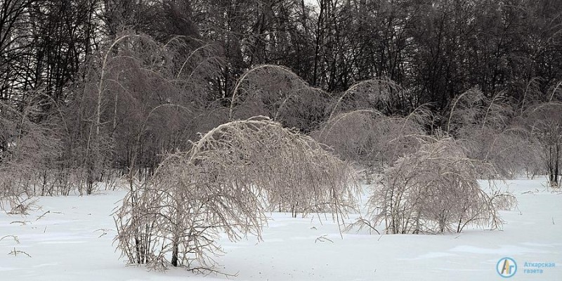 «АГ» запечатлела последствия ледяного дождя