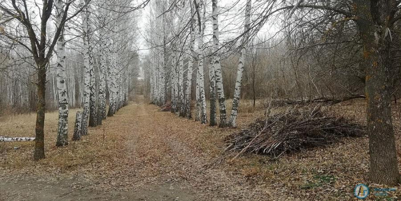 Анатолий Кириченко пообещал отремонтировать мост в Ершовке