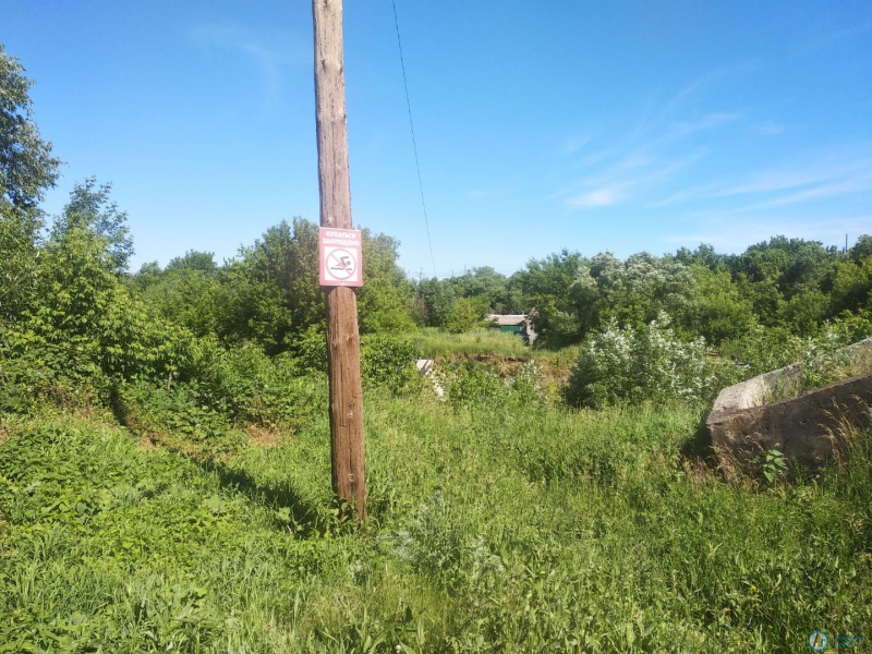 Аткарчанам запретили купаться в несанкционированных местах