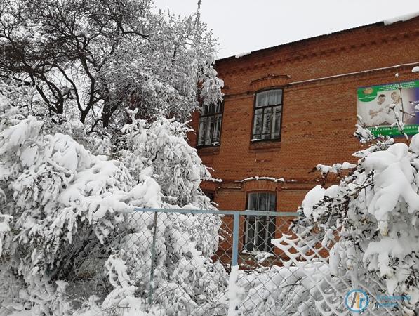 Аткарчане делятся фотографиями апрельской метели