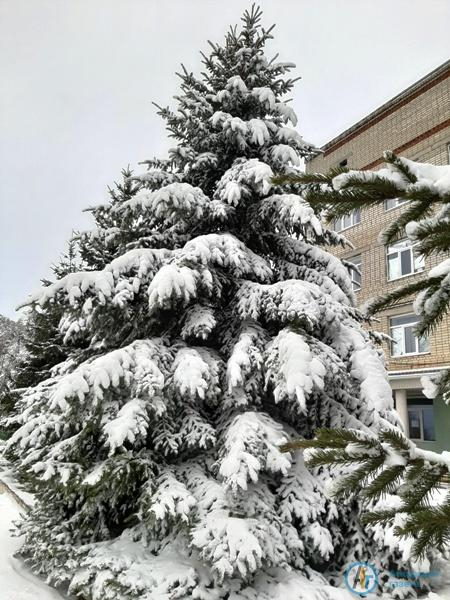 Аткарчане делятся фотографиями апрельской метели