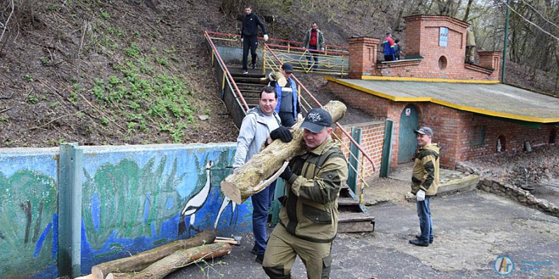 Аткарск присоединился к общероссийскому субботнику