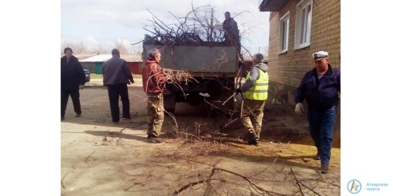 Аткарская УК ведет обрезку деревьев во дворах многоэтажек