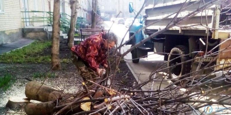 Аткарская УК ведет обрезку деревьев во дворах многоэтажек