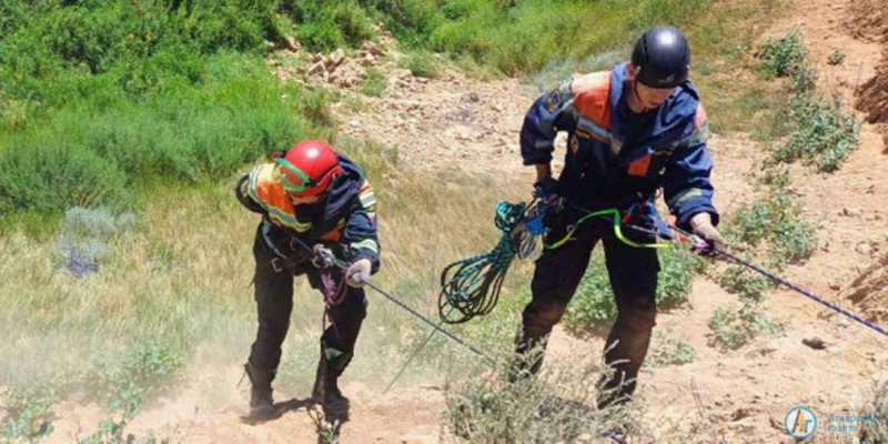 Аткарские спасатели сняли парашютиста с дерева