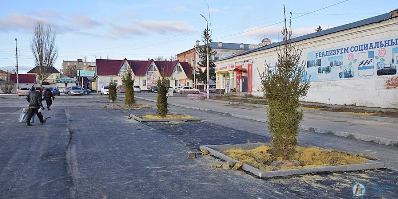 Азербайджанская община Аткарска посадила на площади зеленые ели