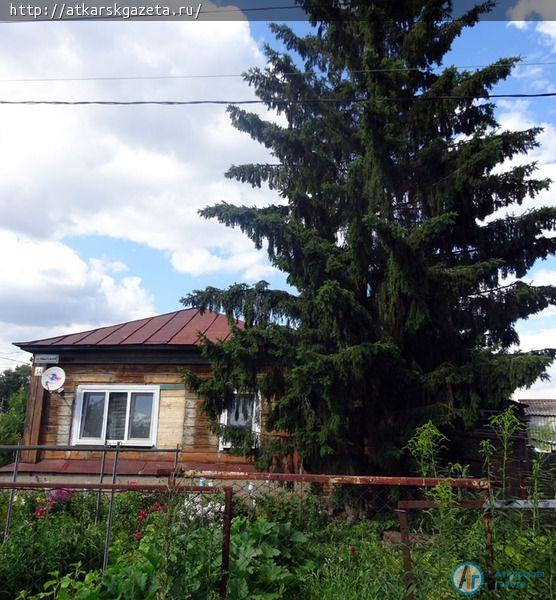 «Бабушкин патруль» выявил новую проблему на берегах Аткары