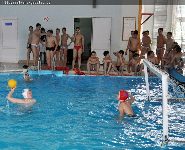 Бассейн ФОКа «Дельфин» слил воду