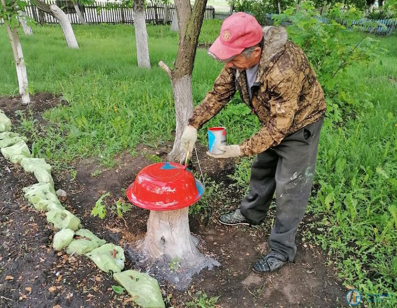 Большеекатериновский парк украсили милый мухомор и лягушка-клумба 