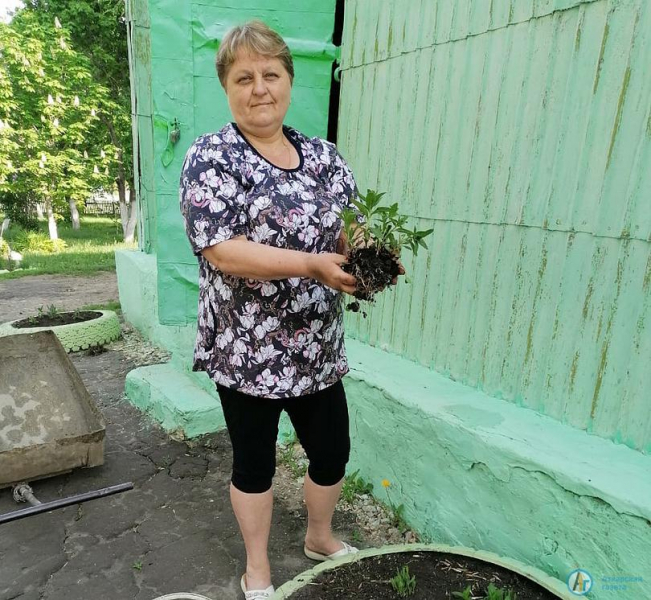 Большеекатериновский парк украсили милый мухомор и лягушка-клумба 