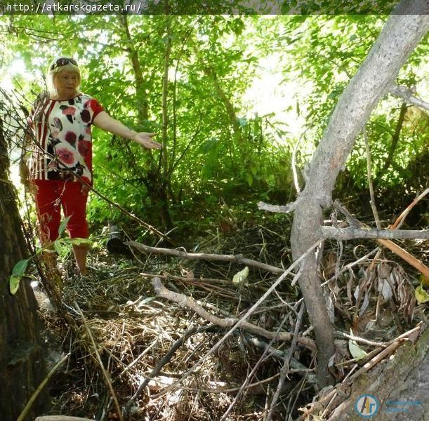 Большие проблемы малой реки Аткары вскрыл в ходе рейда «Бабушкин патруль»