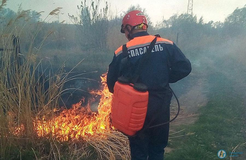 Четыре часа в Романцовом саду пылал природный пожар