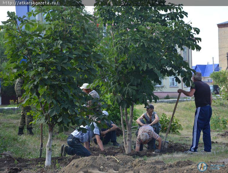 Четыре дерева помешали реконструкционным работам в парке (ФОТО)