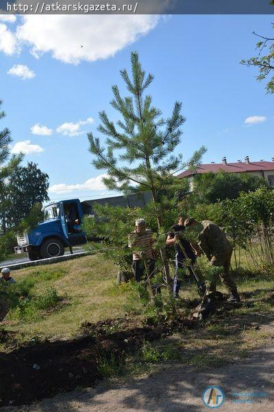 Четыре дерева помешали реконструкционным работам в парке (ФОТО)