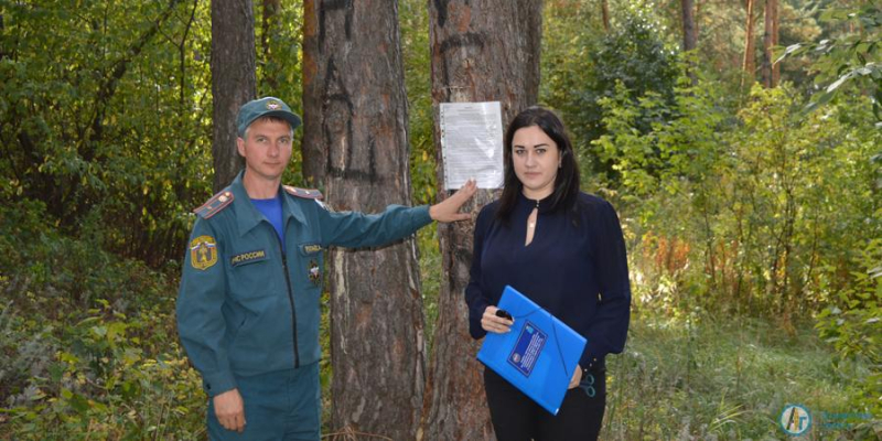 Что нельзя хранить в дачном домике