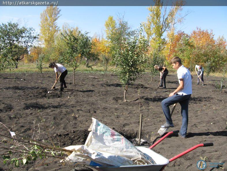 Депутат областной Думы помог сельской школе заложить фруктовый сад