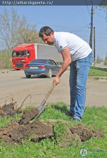 Депутаты посадили на улице Гоголя 30 кустов сирени (ФОТО)