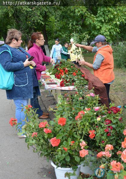 Фестиваль "Аткарские розы" гуляет по аллеям парка (ФОТОРЕПРТАЖ)