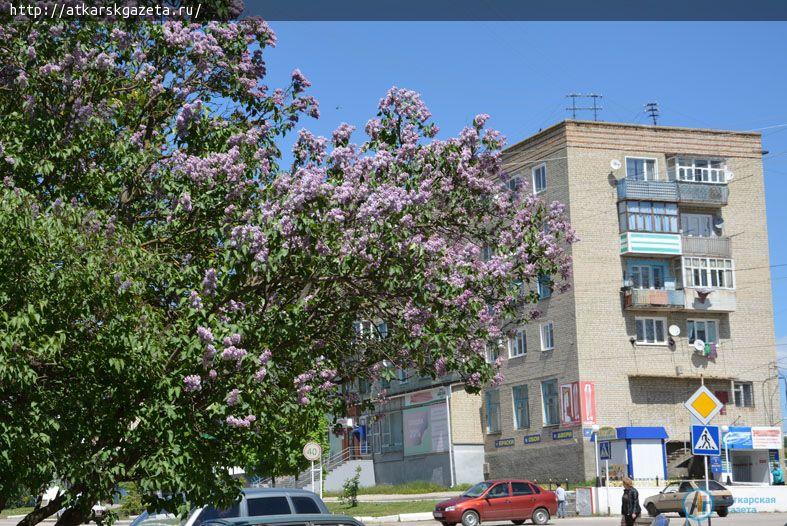 Фотокамеры журналистов "АГ" запечатлели Аткарск дня современного (ФОТО)