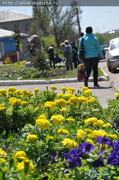 Фотокамеры журналистов "АГ" запечатлели Аткарск дня современного (ФОТО)