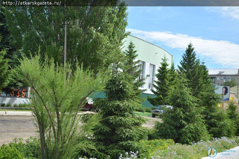 Фотокамеры журналистов "АГ" запечатлели Аткарск дня современного (ФОТО)