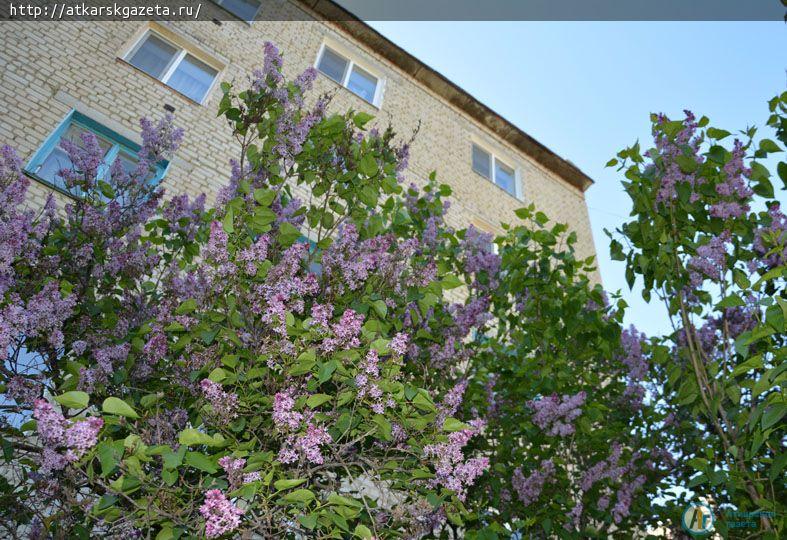 Фотокамеры журналистов "АГ" запечатлели Аткарск дня современного (ФОТО)