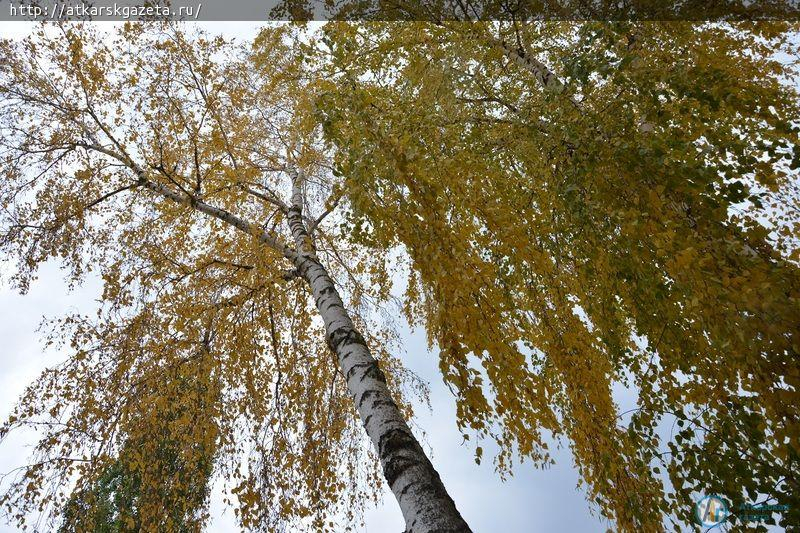 Фотозарисовка