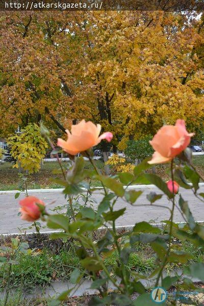 Фотозарисовка