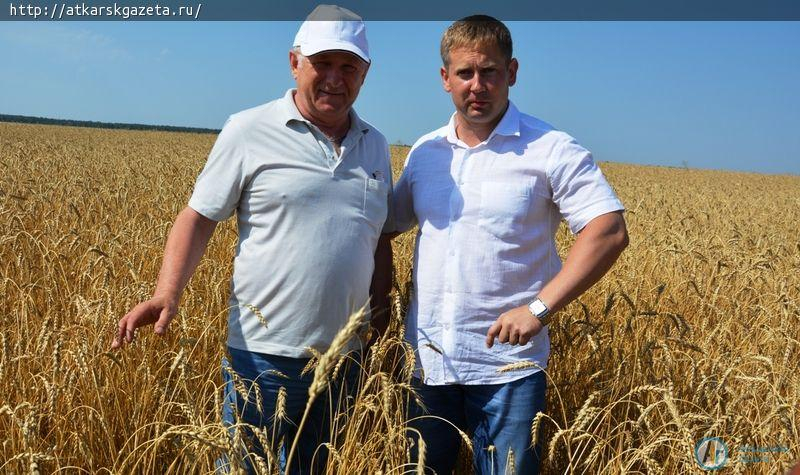 Глава района сел за штурвал ростовского комбайна (ФОТО)