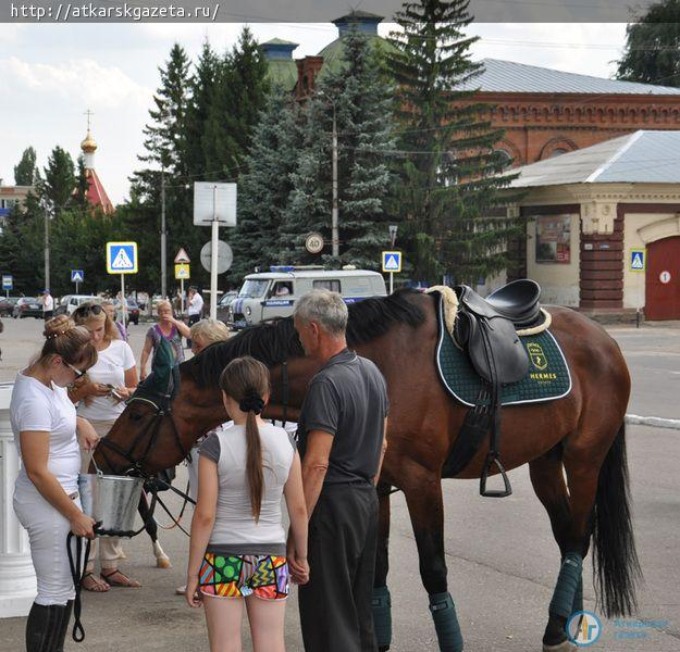 Гостей фестиваля роз удивили бумажным шоу и конными прогулками