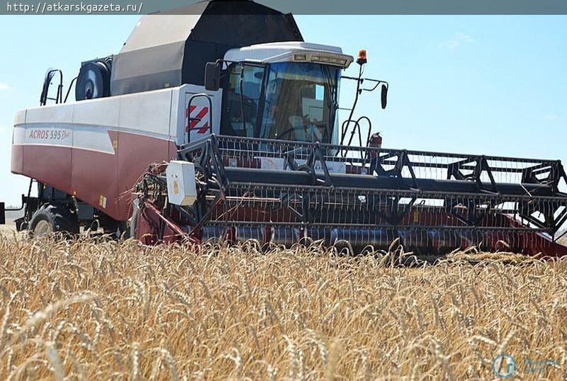 Государство выплатит аткарским аграриям 12 миллионов рублей