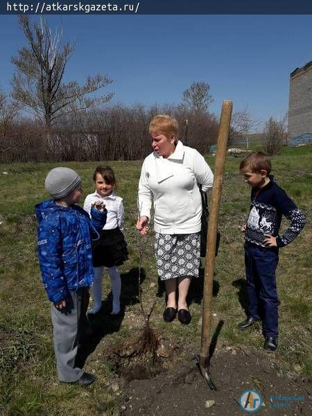 Языковские школьники заложили яблоневый сад