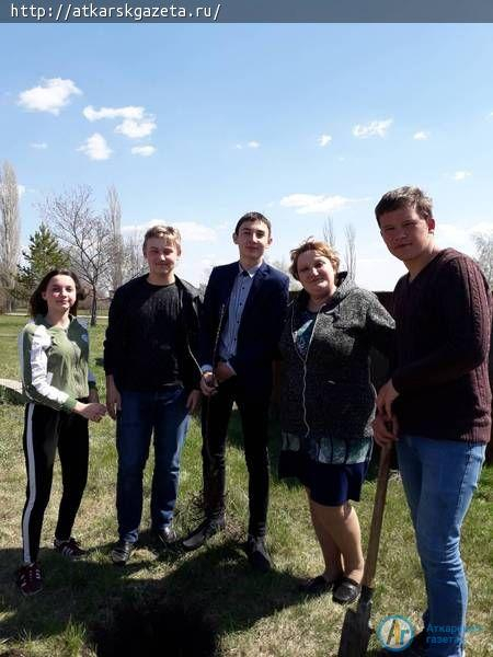Языковские школьники заложили яблоневый сад