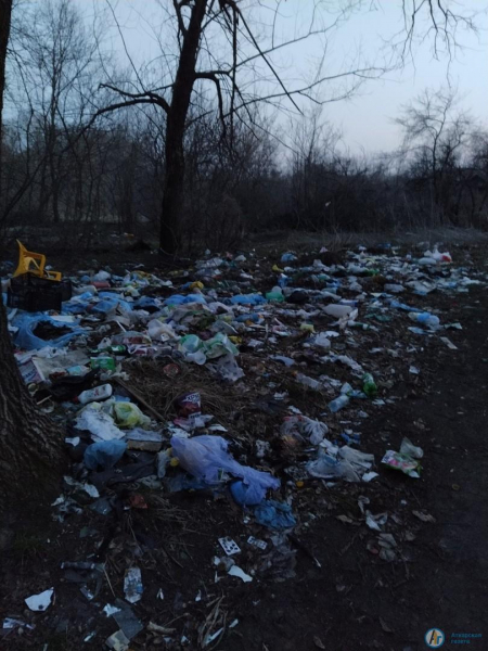 Юная аткарчанка обеспокоена мусорными свалками в Засеке