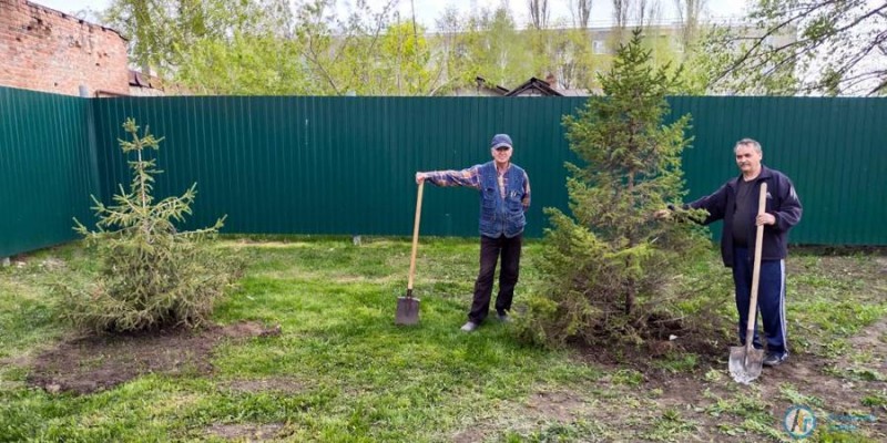 Клумбы в сквере «Юность» украсят розы «Черный принц»