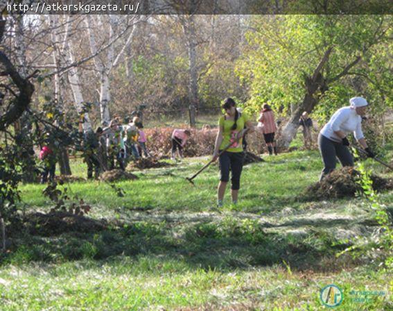 Кочетовские школьники примерили роль ландшафтных дизайнеров