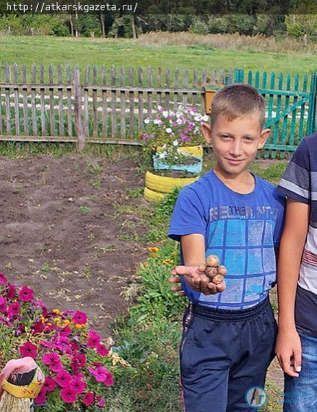 КОНКУРС «АГ».  Картофельный телепузик вырос на огороде Татьяны ОРЛОВОЙ