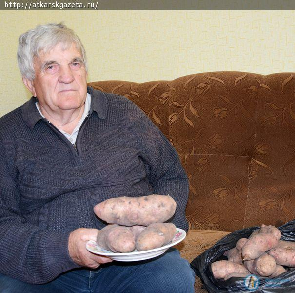 Конкурс «АГ». Картошка весом около килограмма выросла на огороде Виктора ФОМЕНКО