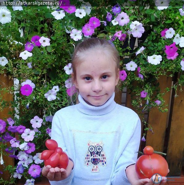 Конкурс "АГ". Морковь-гигант и помидоры-неваляшки вырастила семья Ващенко
