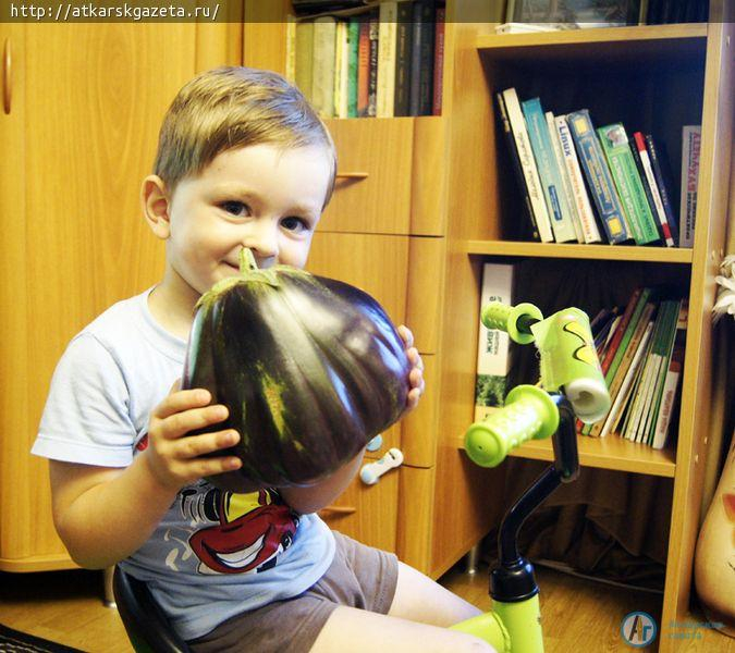 Конкурс «АГ». На аткарской грядке вырос чудо-баклажан весом 980 граммов