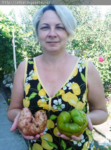 Конкурс «АГ».  На огородах в селе Сазоново растут овощные подковы